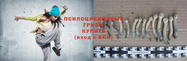 экстази Баксан