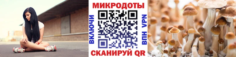 OMG ССЫЛКА  Липецк  Галлюциногенные грибы мицелий 